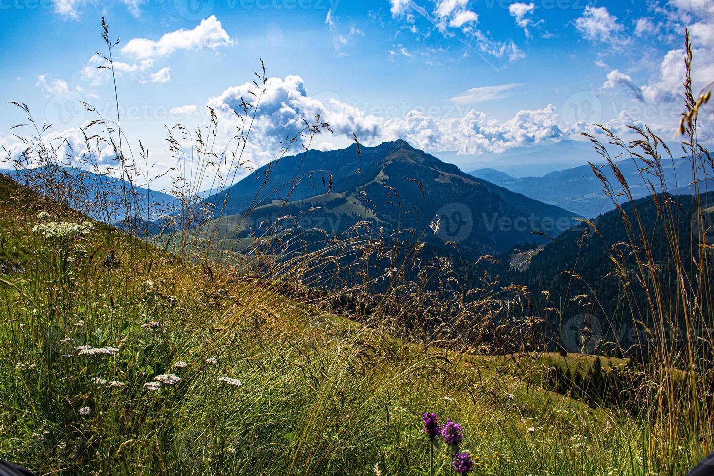 Field and mountains photo