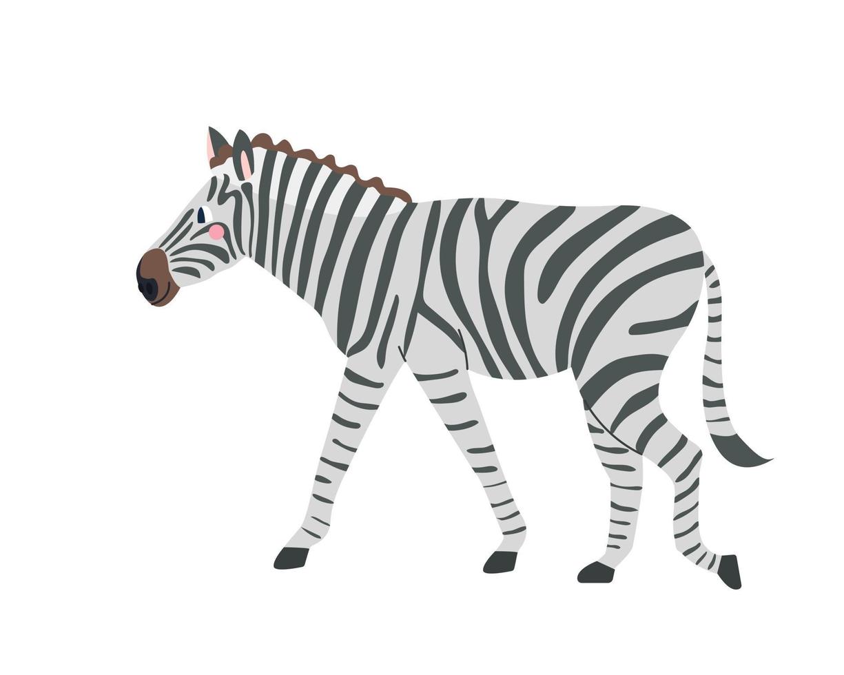 Cute zebra on white background in cartoon flat style Vector illustration