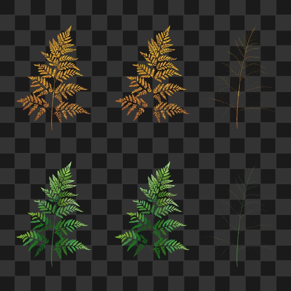 set golden fern and palm on isolated vector