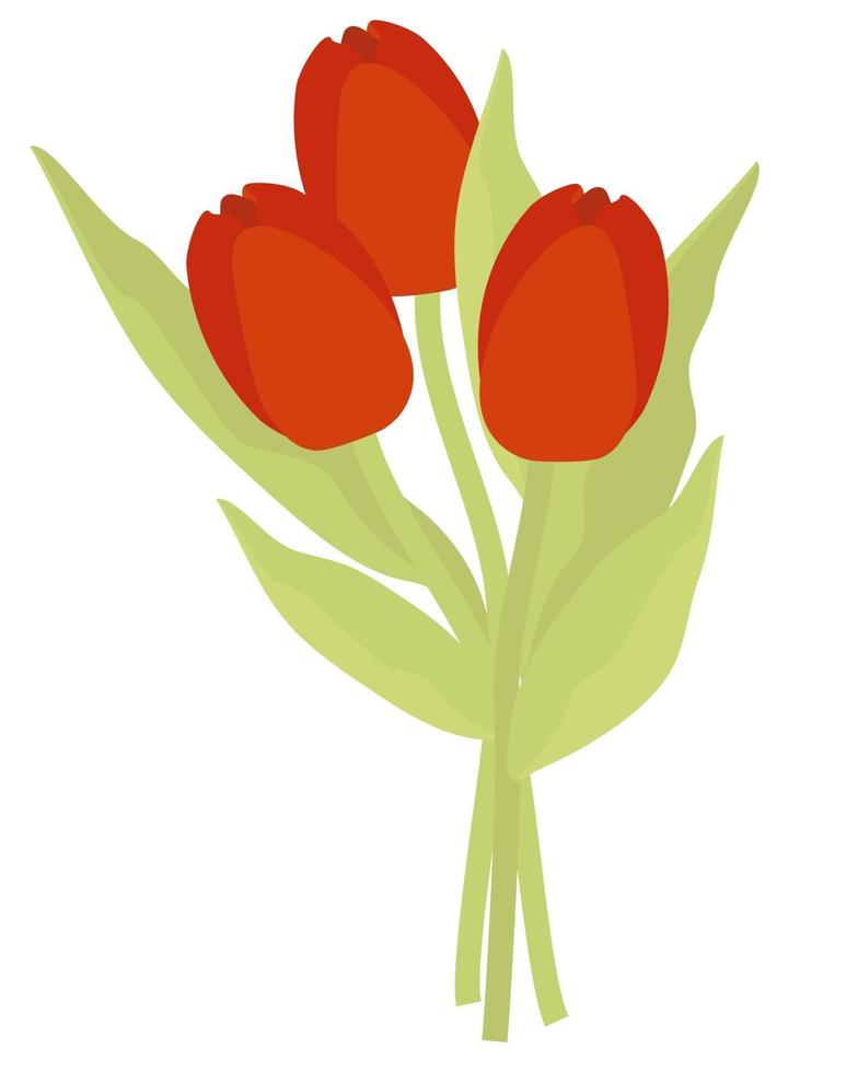 ramo de flores hermosas tulipanes rojos vector