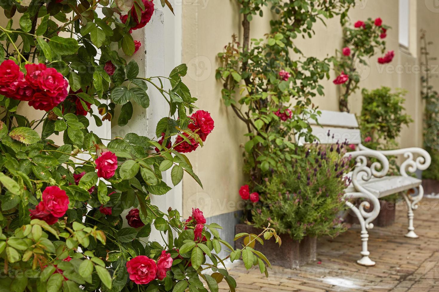 House entrance decorated with flowers photo