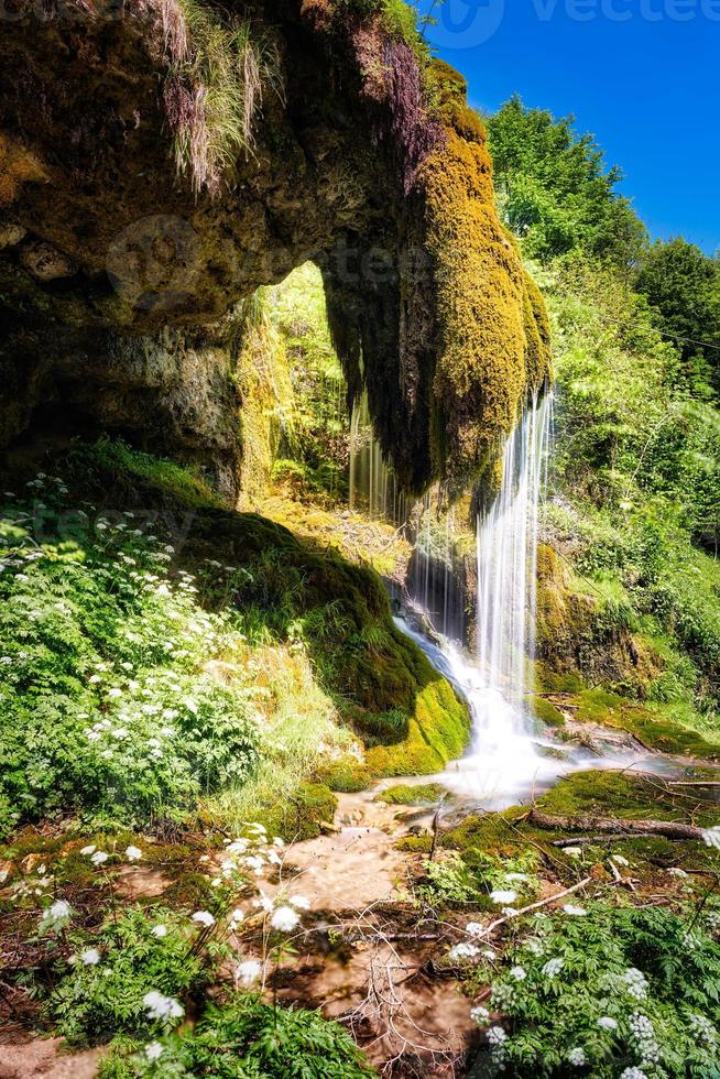 Fresh water flows from moss onto rocks and forms a small waterfall photo