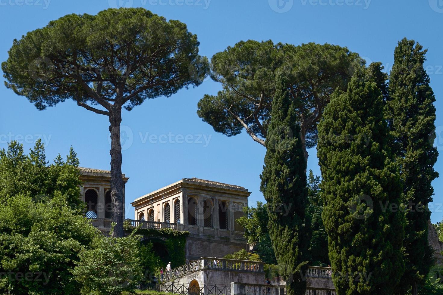 Tourists visiting the archaeological site of the Roman Forum in Rome Italy photo