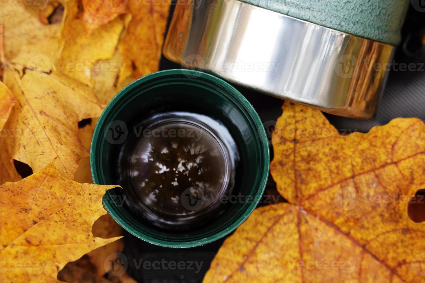 termo verde taza de acero inoxidable en hojas de otoño foto