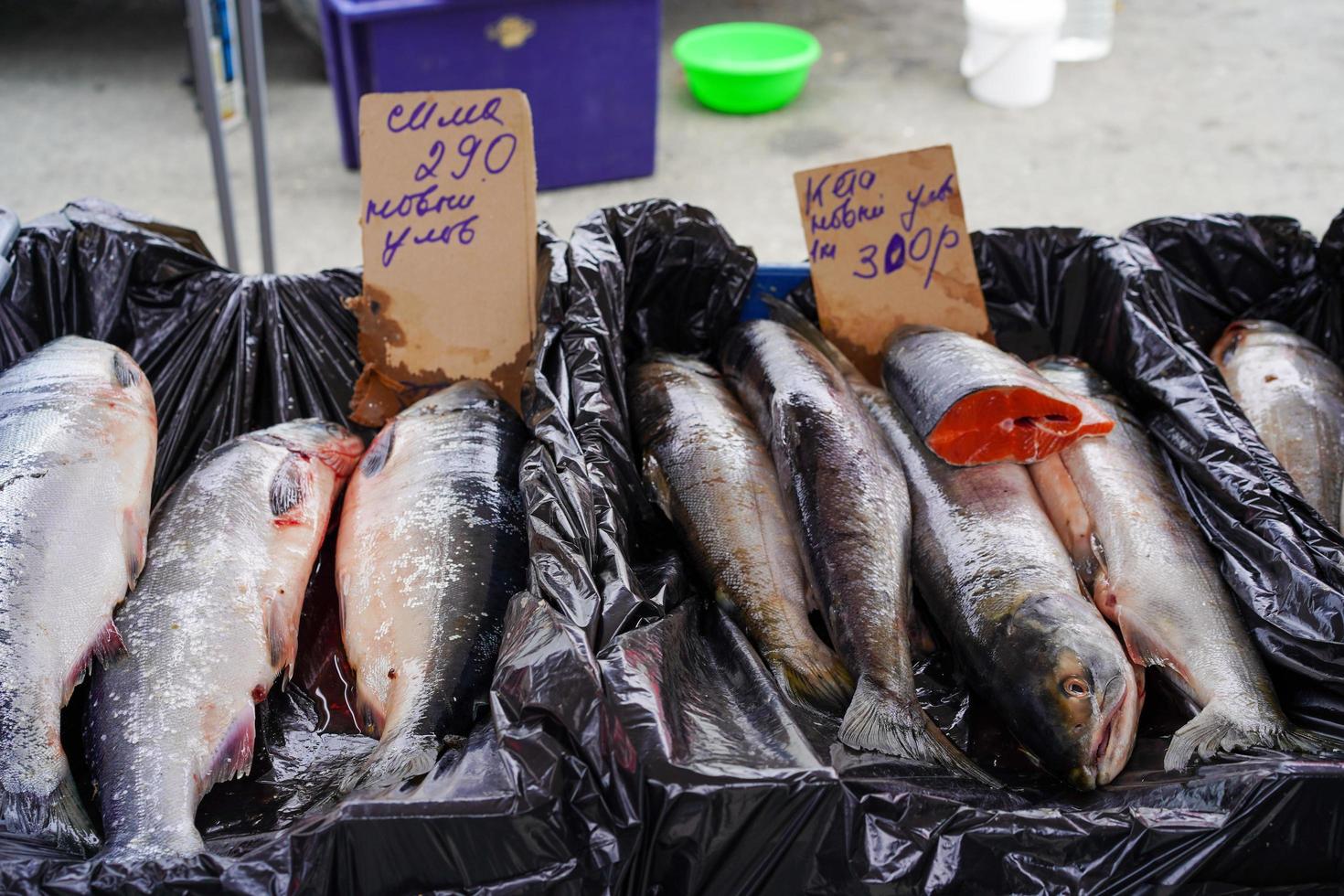 Venta de pescado rojo en el mercado de Vladivostok, Rusia foto