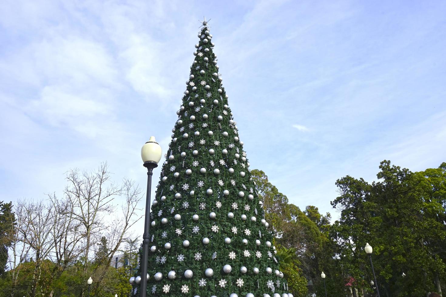 Christmas tree with silver decor on a blue nebaba background photo