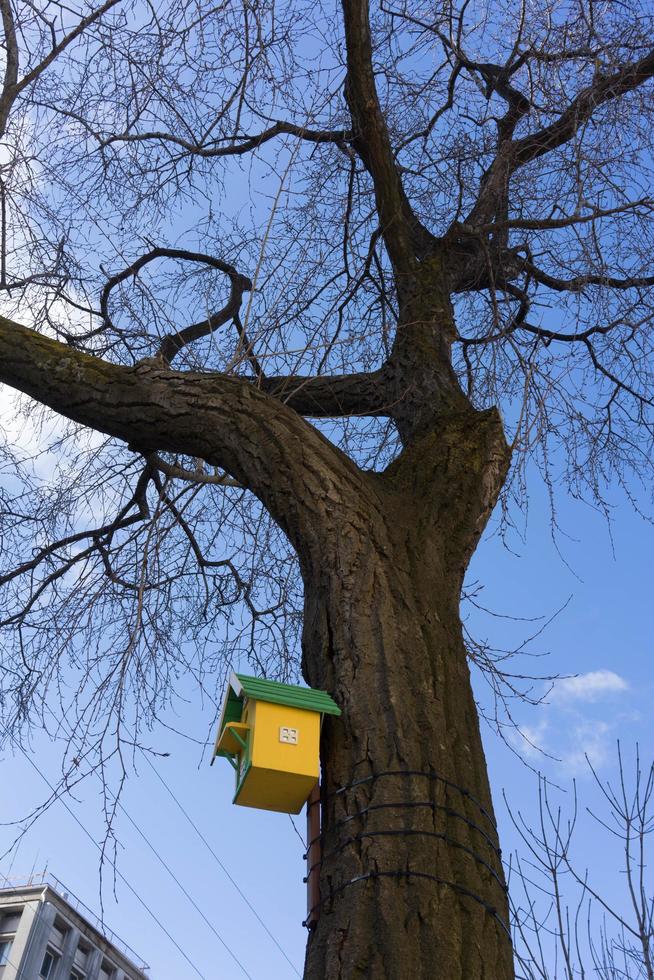 Urban landscape with bird houses on the background of trees without leaves photo