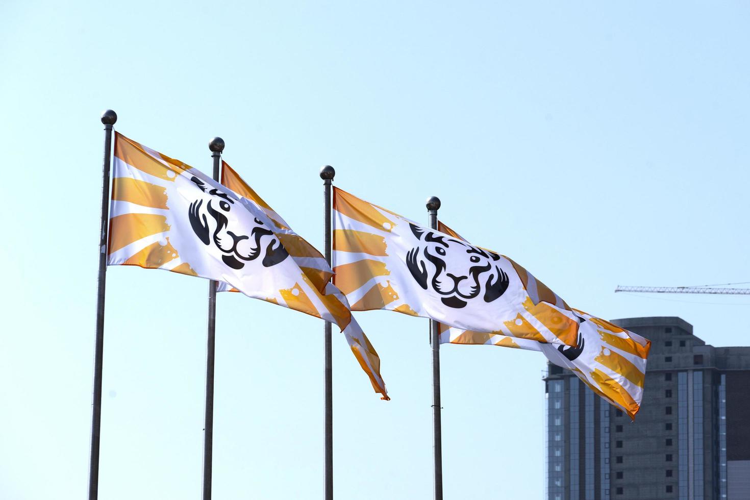 Banderas con una imagen del tigre en el fondo del cielo azul foto