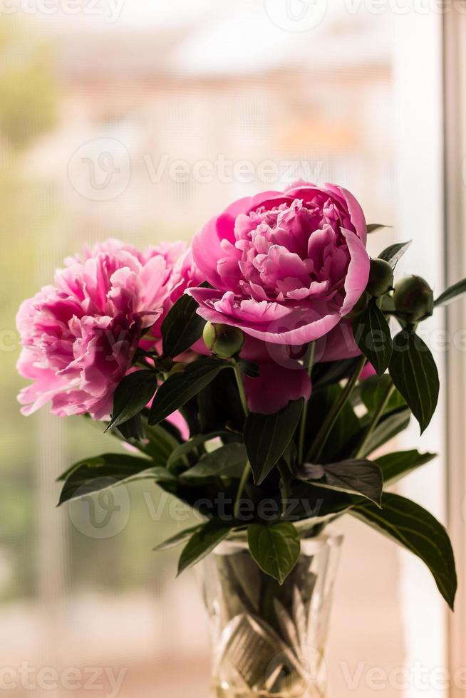 ramo de peonías rosas brillantes en la ventana foto