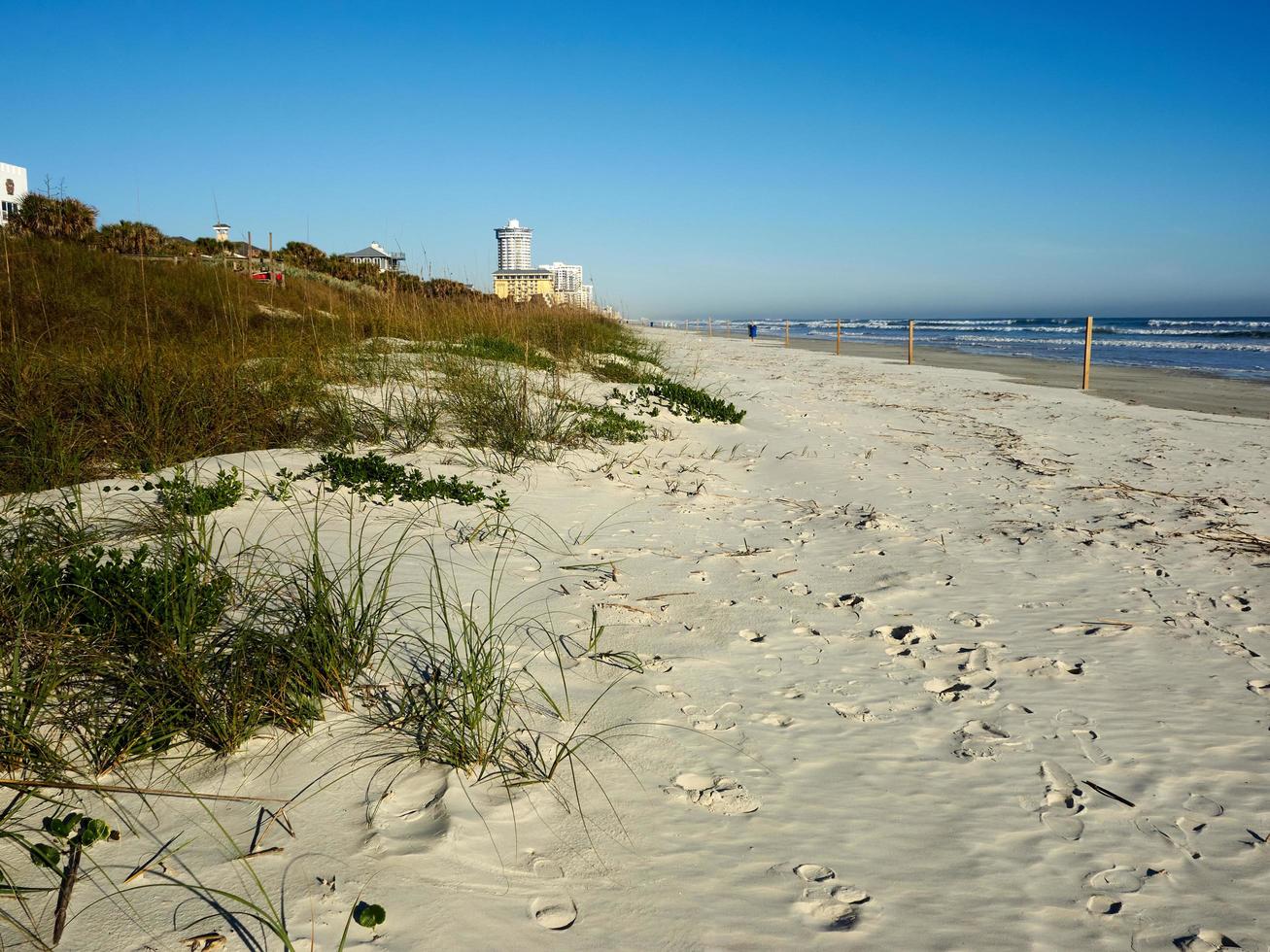 Beautiful sand covering the coast photo