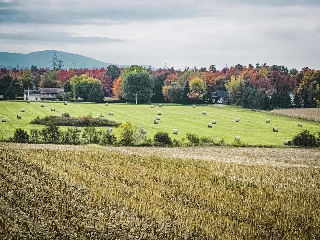 Harvests in autumn photo