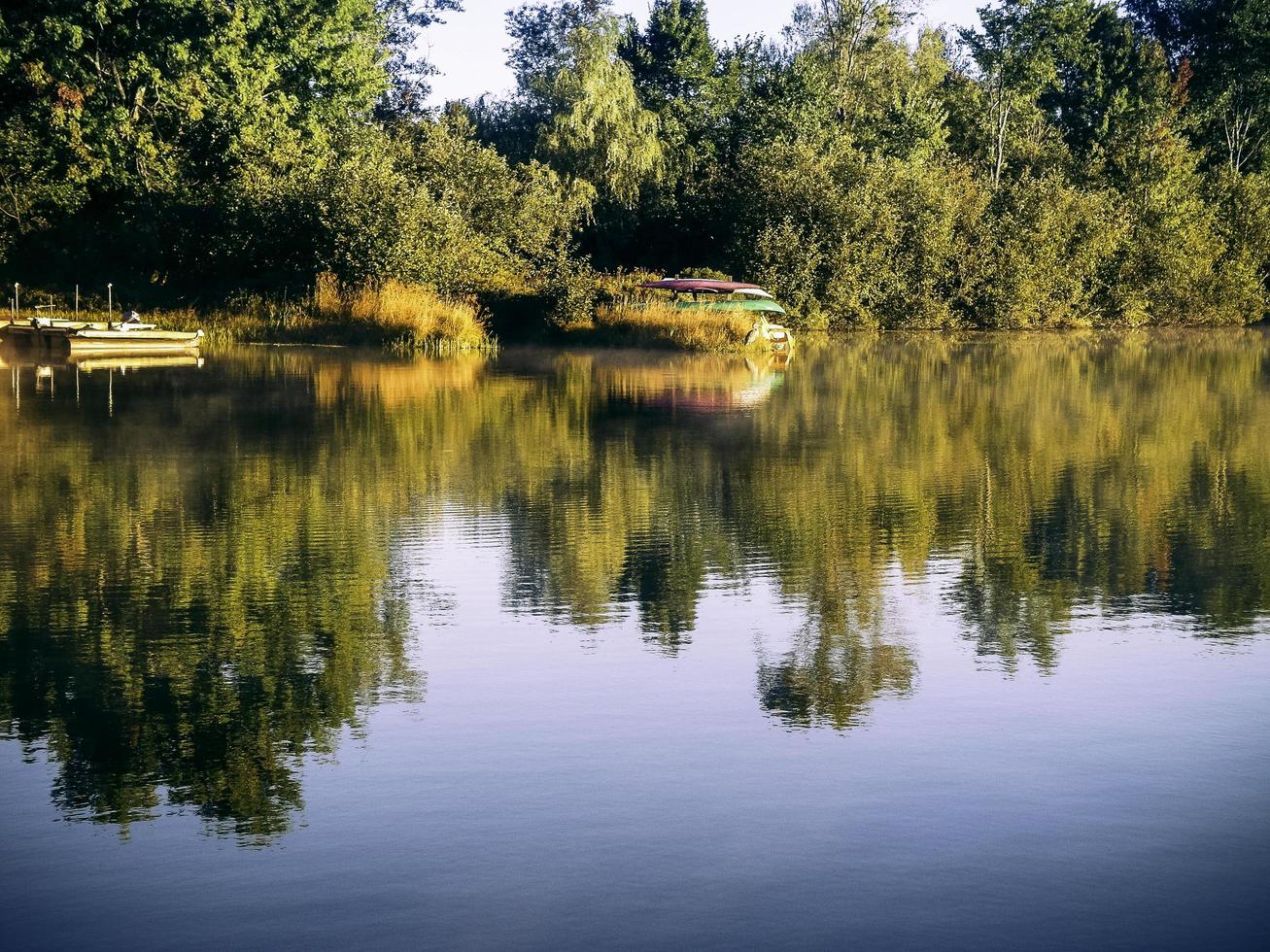 el reflejo de los árboles en el lago foto