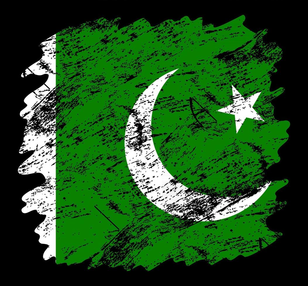 pakistan flag grunge brush background vector