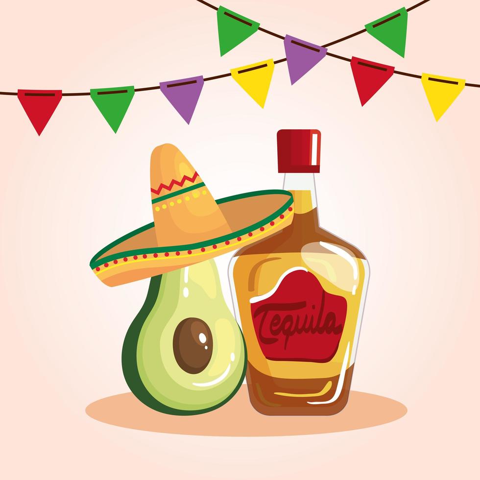 cartel del cinco de mayo con botella de tequila y decoración. vector