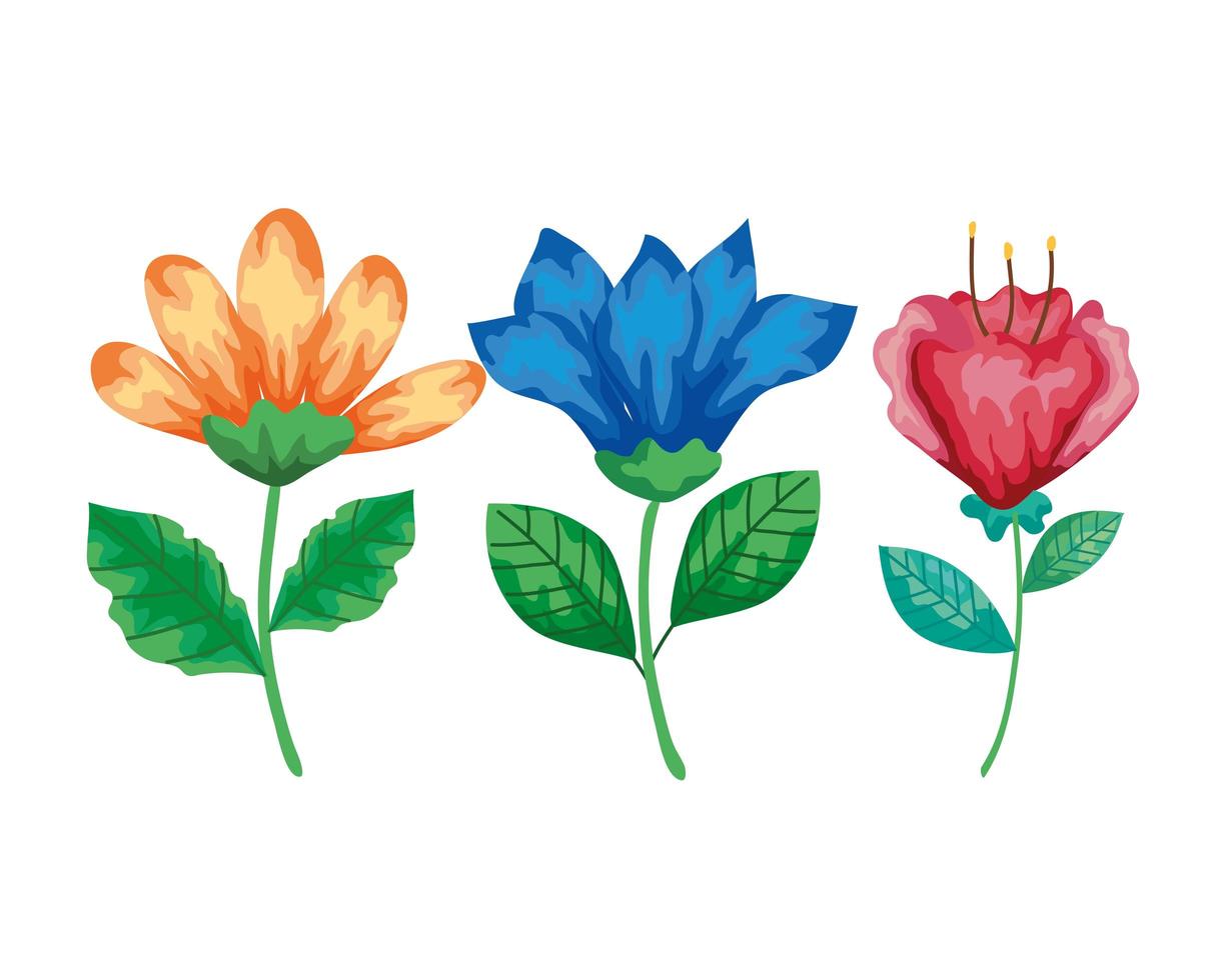 set of flowers with branches and leaves decoration vector
