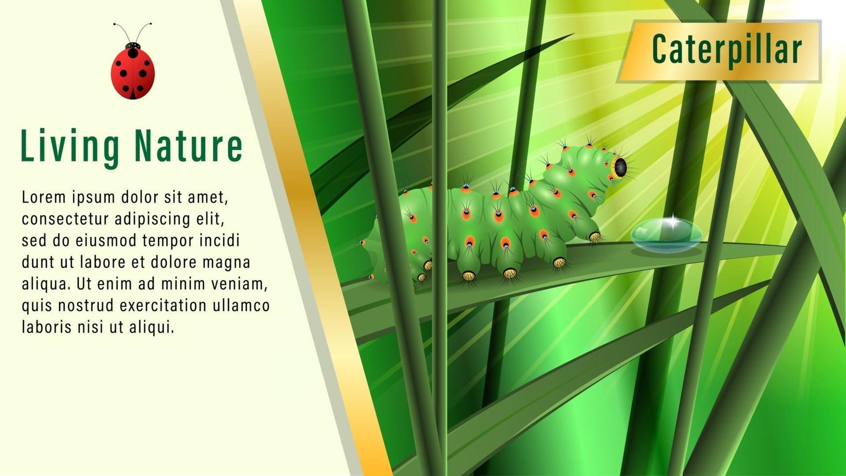 Living Nature Caterpillar in grass vector
