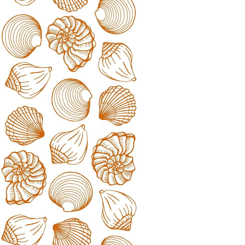 Seashells frame Sea and ocean design template Vector illustration Vector card templates Perfect for business card invitation wedding and web design