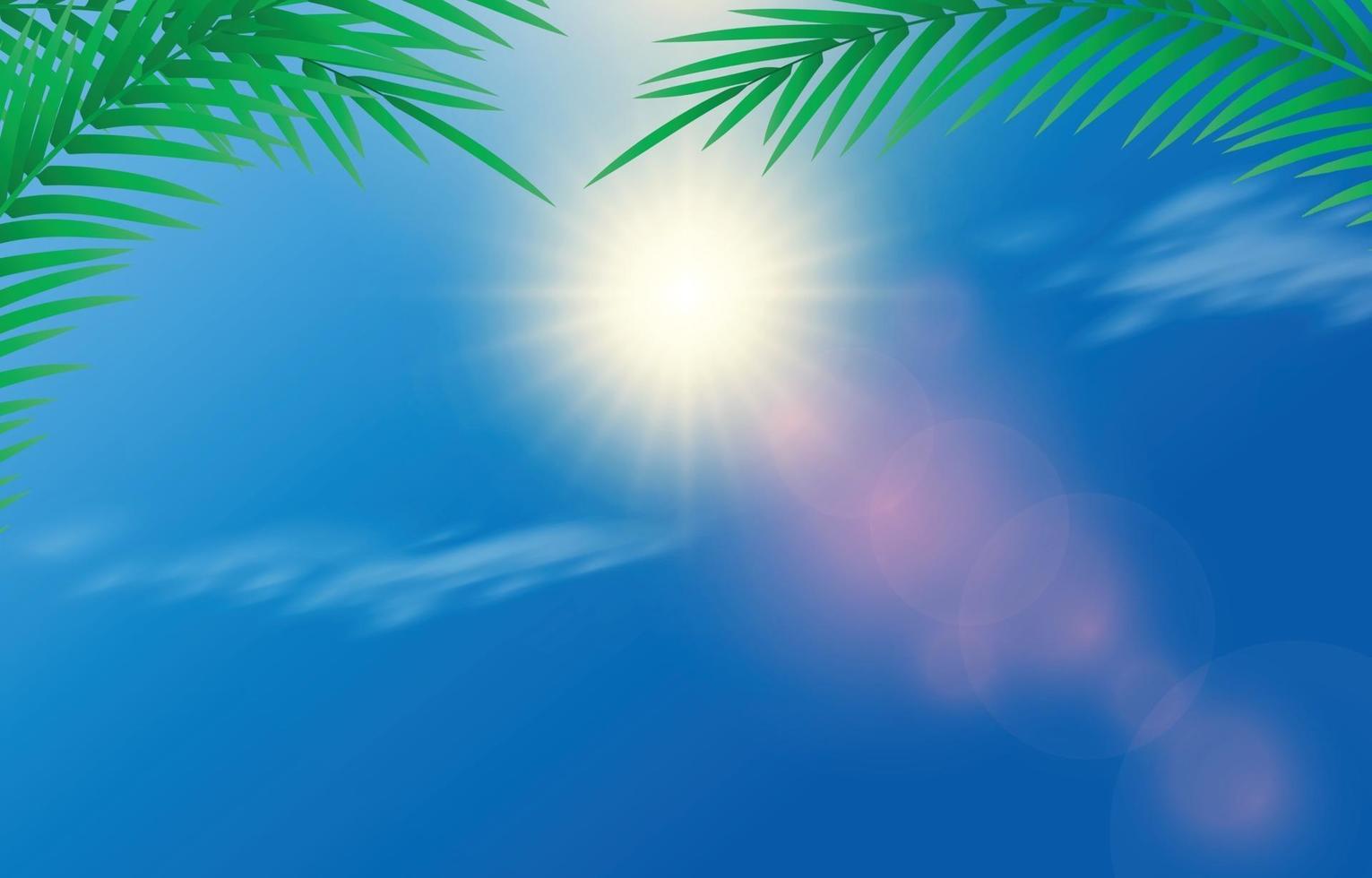 Sun and Light Flare Background vector