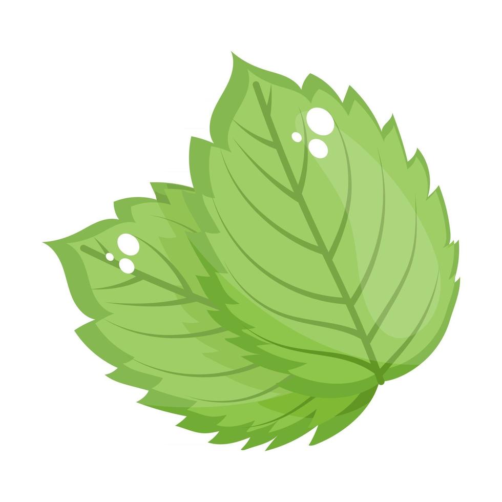 Birch Leaves Design vector
