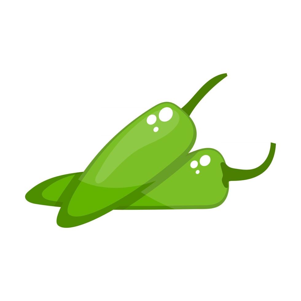 Hot  Chili Pepper vector
