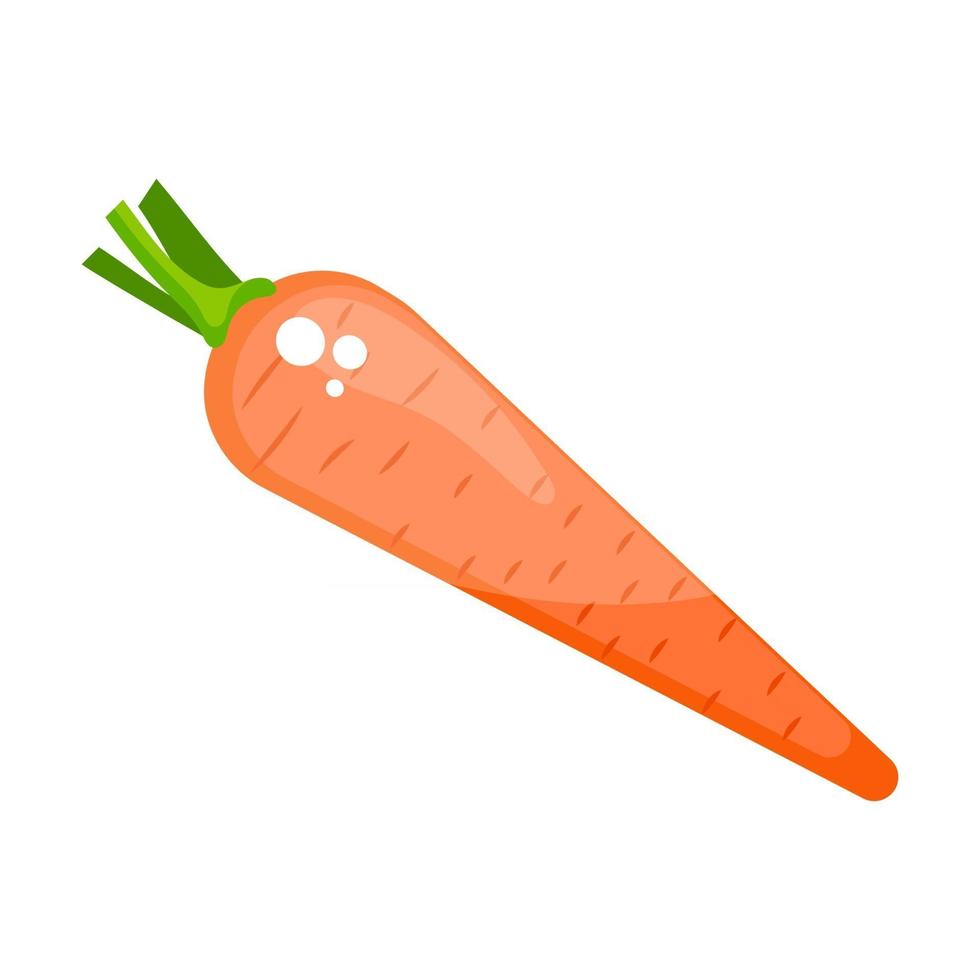 Carrot  Favorite Food vector