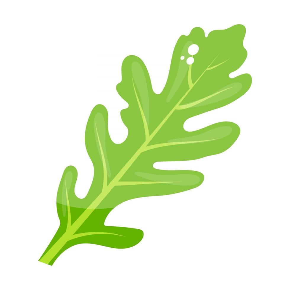 lechuga hoja moderna vector