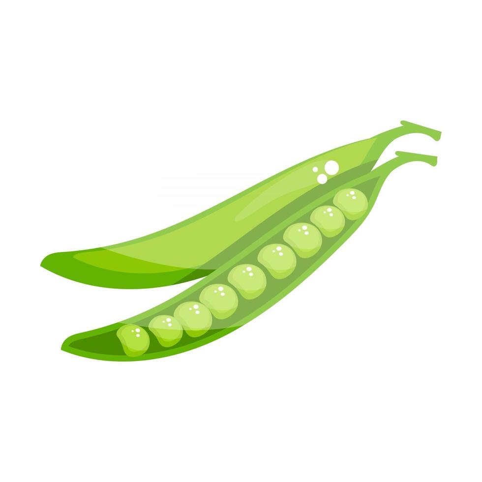 Peas seed pod vector