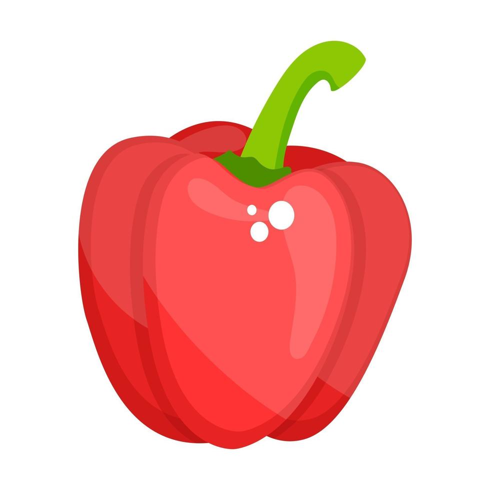 Capsicum Bell Pepper vector