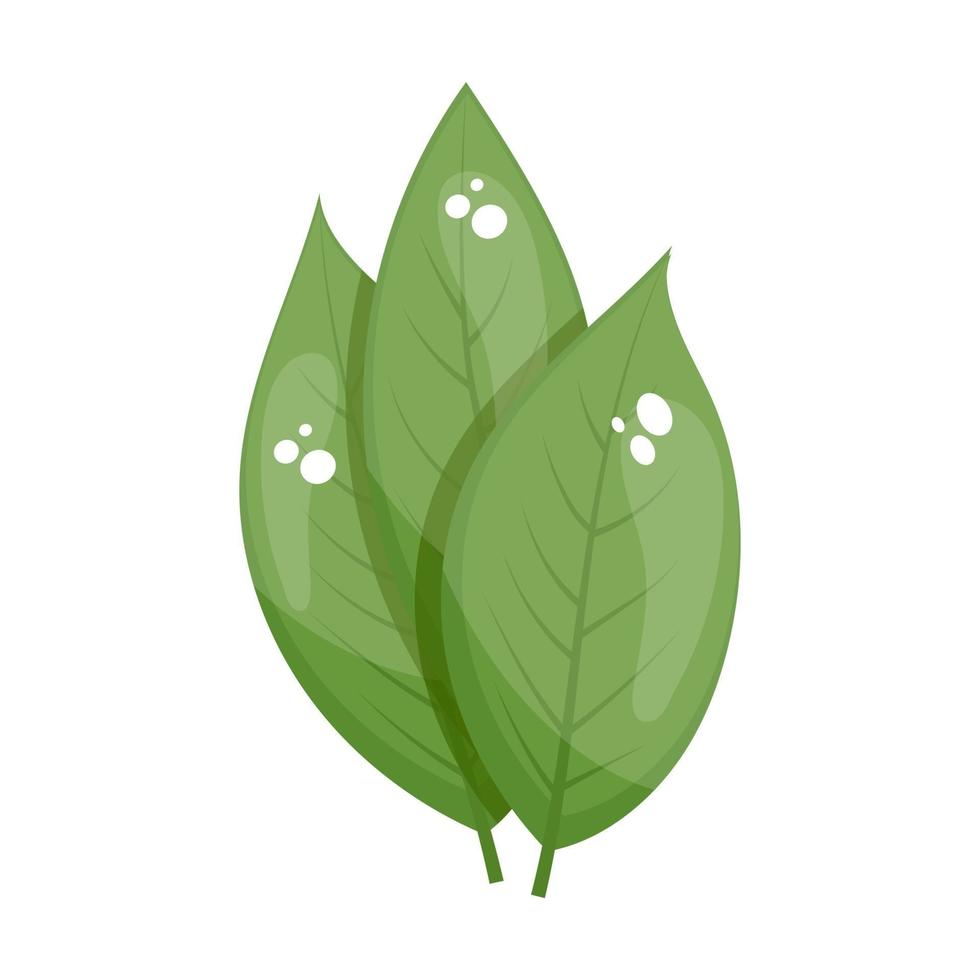 Birch Leaves Design vector