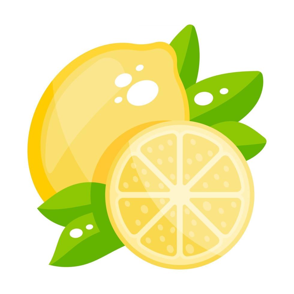 Lemon Half cutted vector