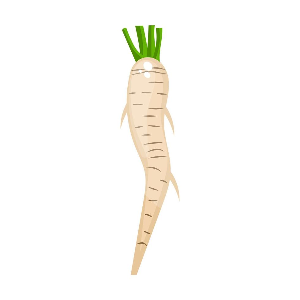 Healthy Carrot Design vector