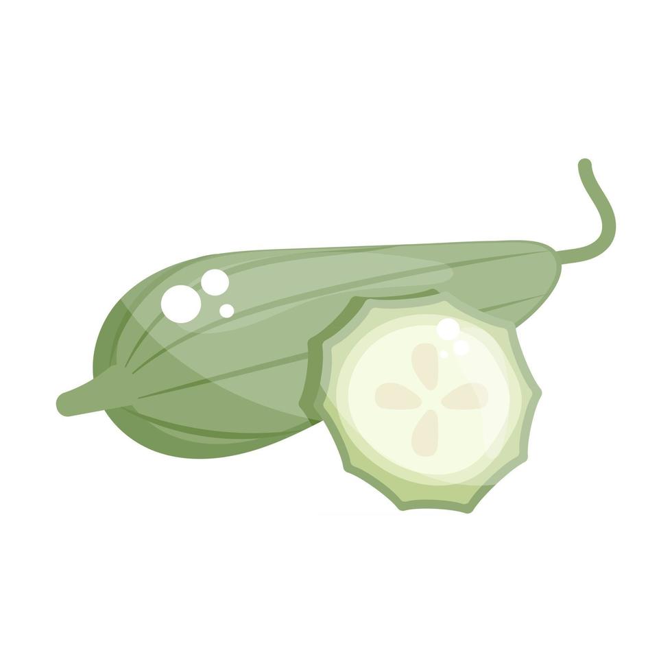 botella calabaza fruta vector