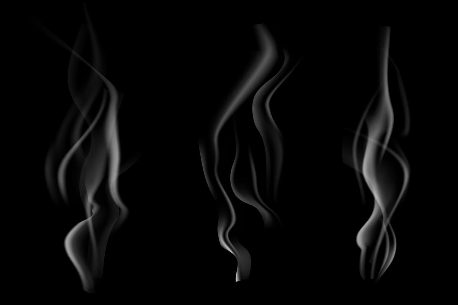 Set of smoke vector