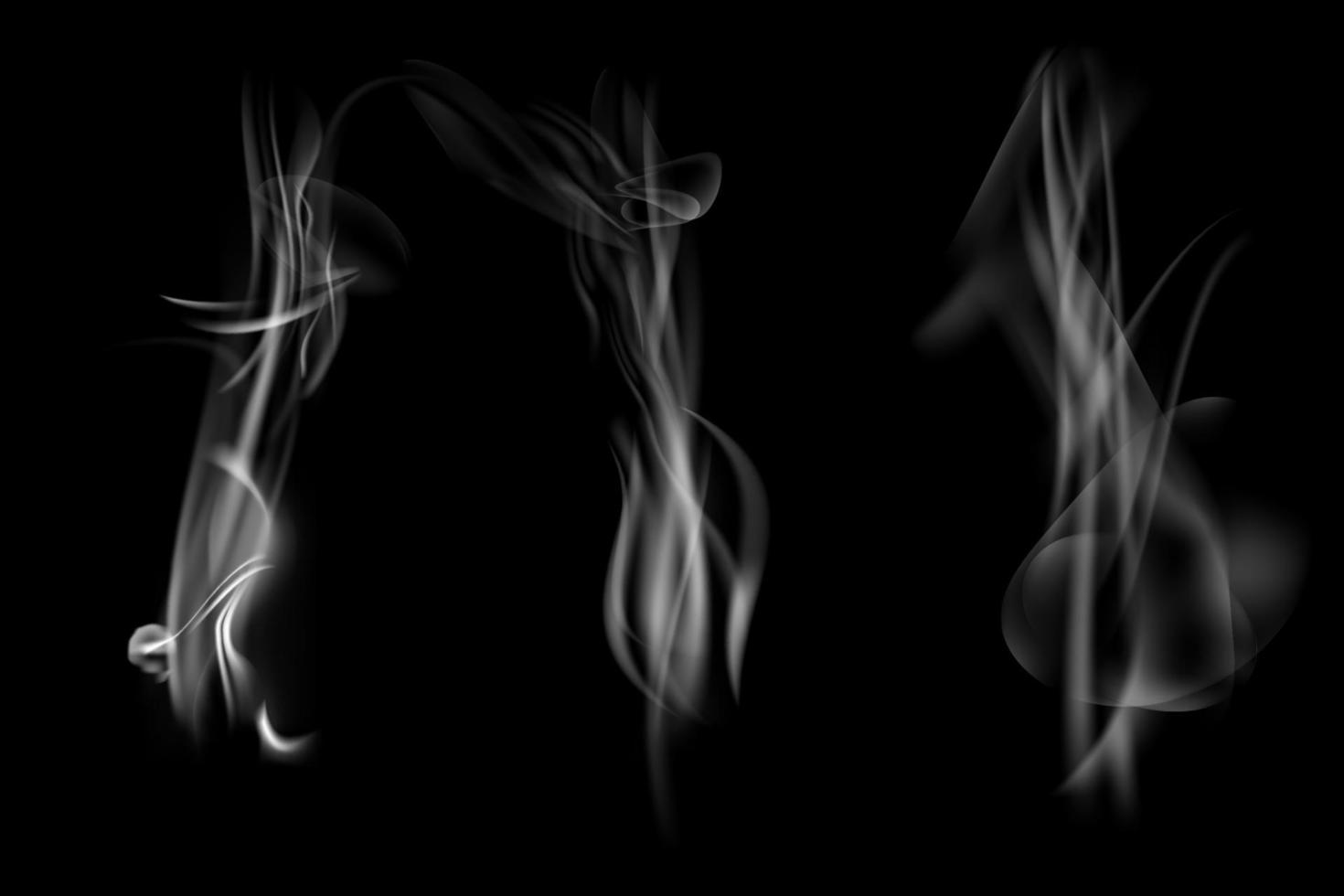 Set of smoke vector