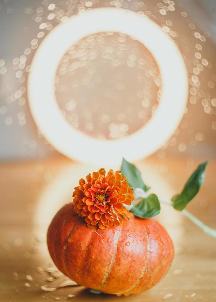 Autumn composition of pumpkins and flowers photo