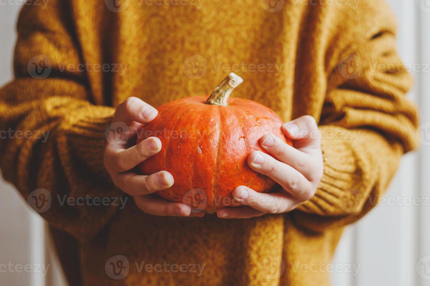 Pumpkin in children hands photo