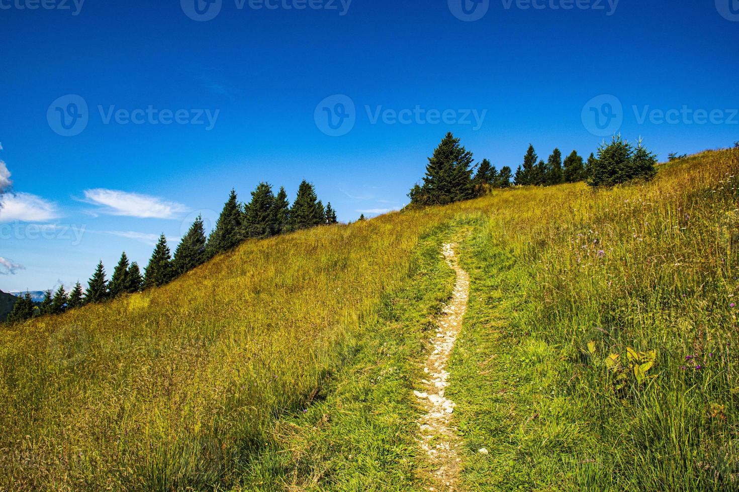 Hiking path during the day photo