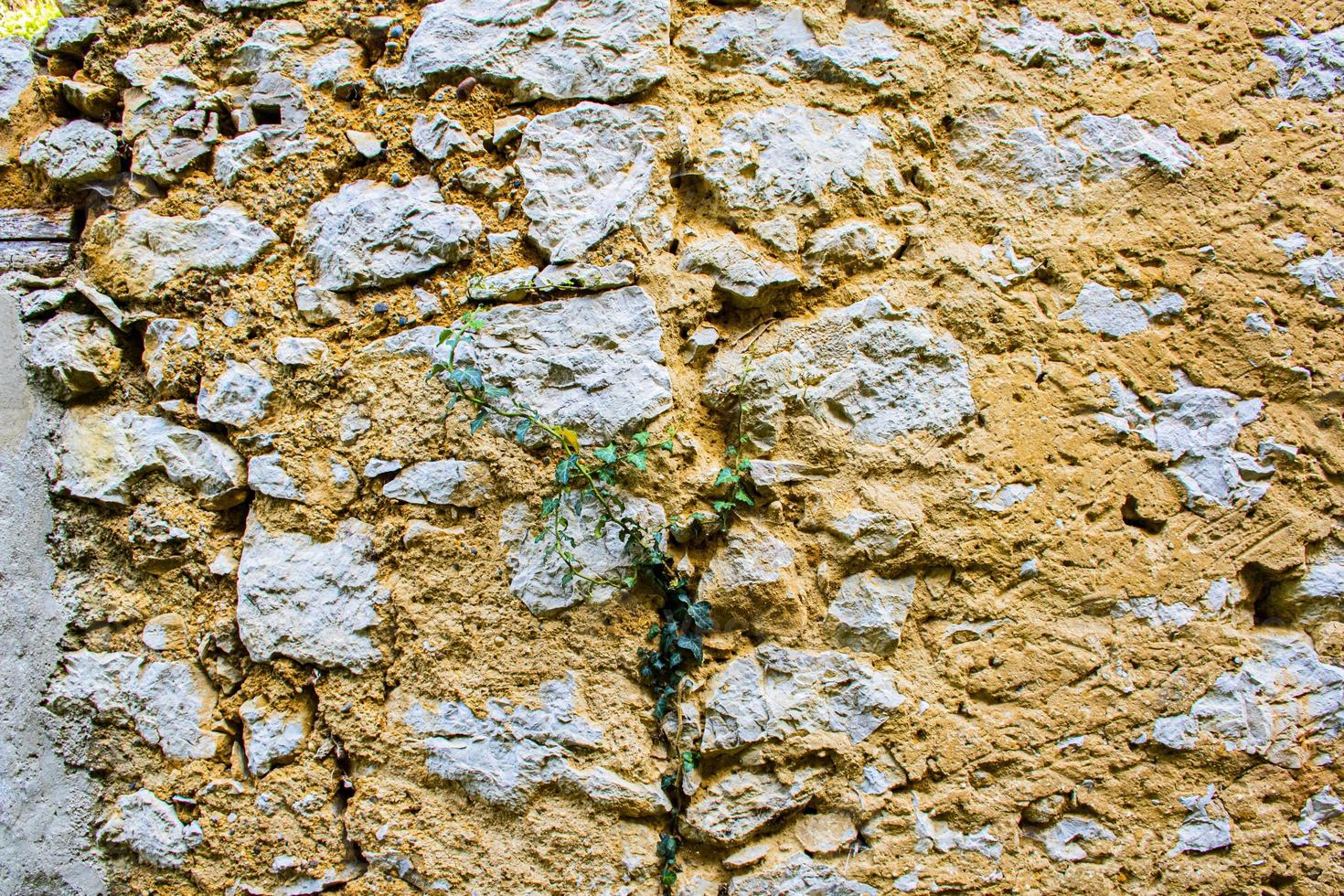 muro de piedra y amarillo foto
