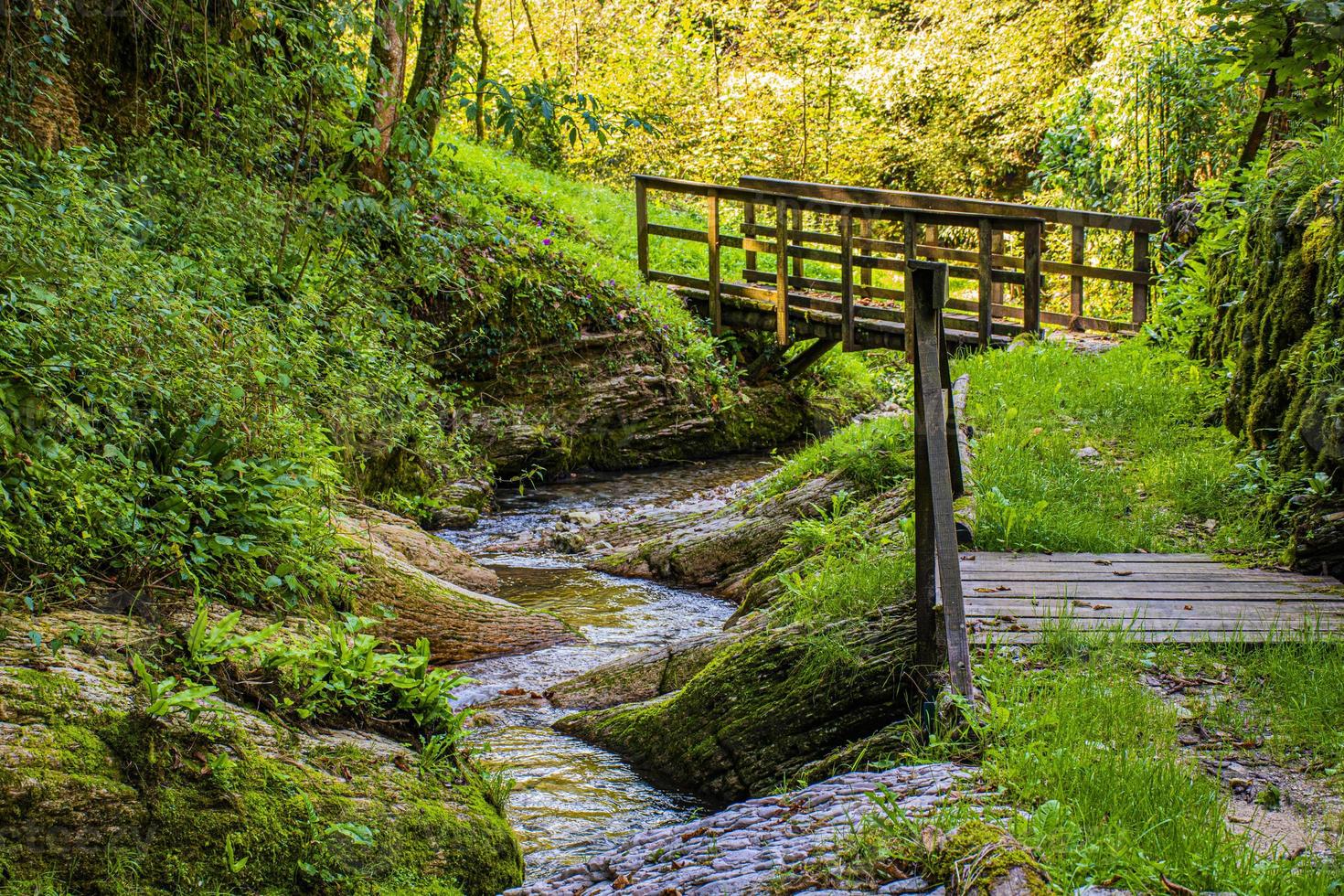 puente de madera y arroyo foto