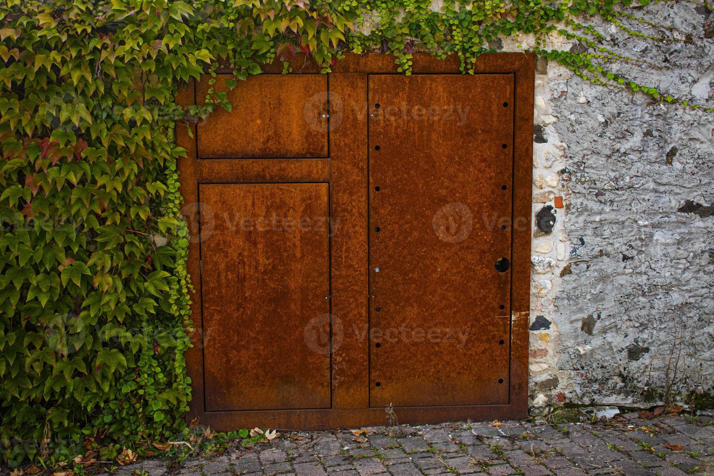 Rusty door with ivy photo
