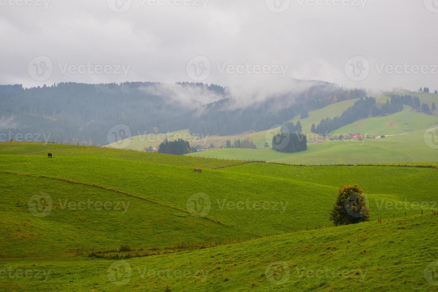Grassy hills and clouds photo