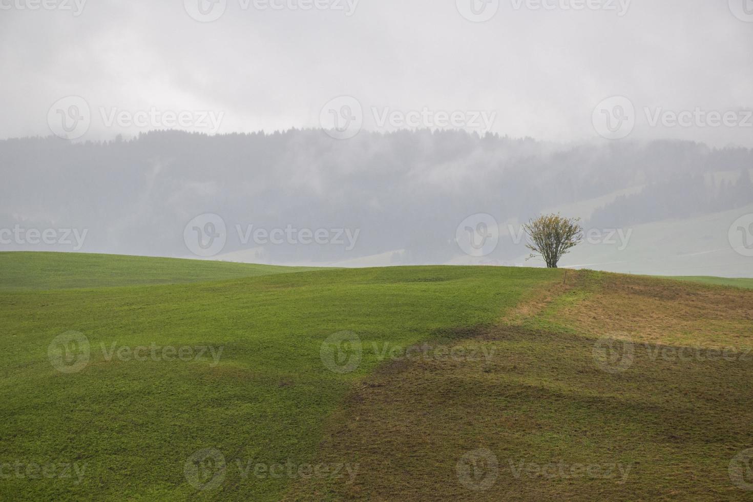 nubes sobre un prado foto