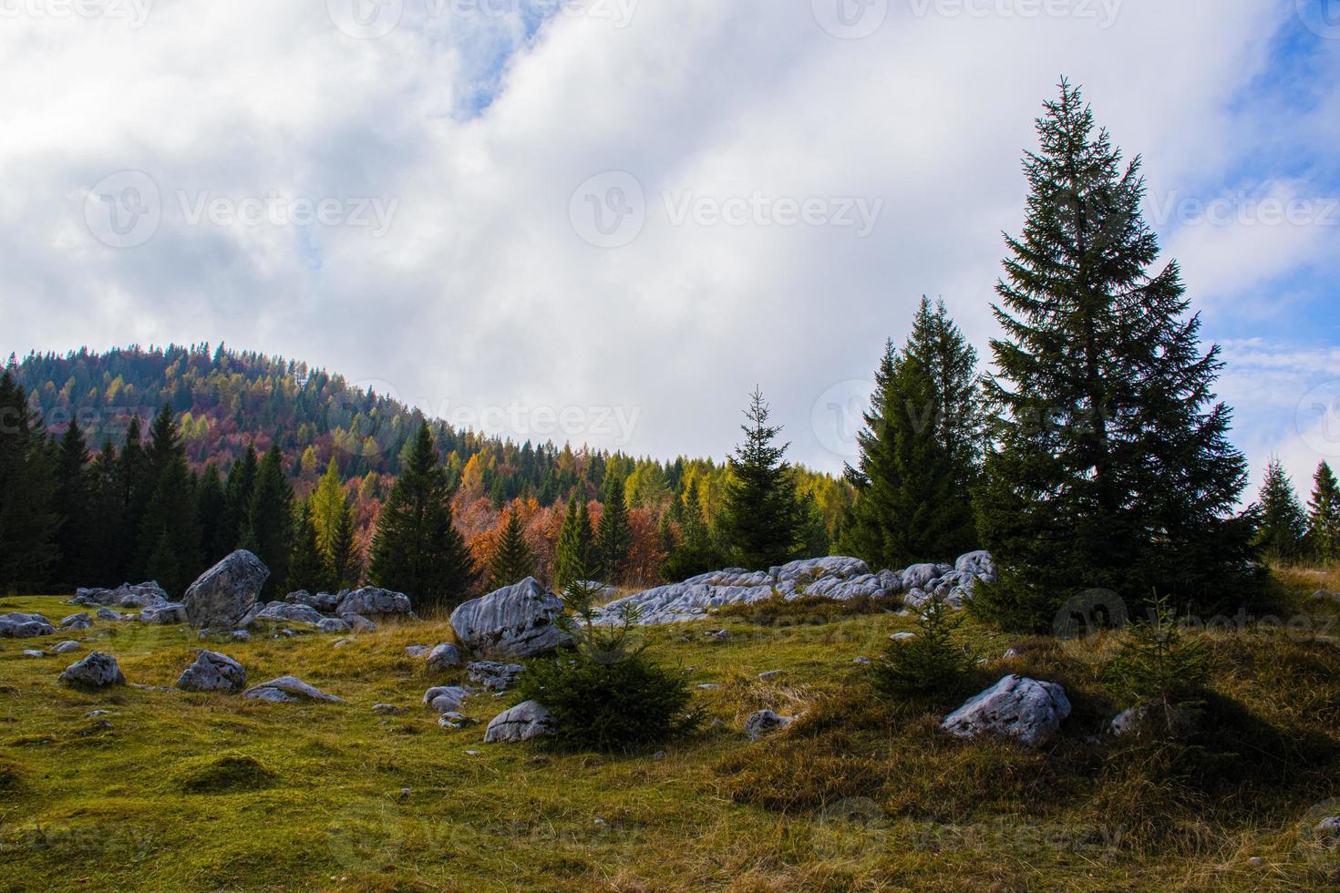 bosque de otoño y nubes foto