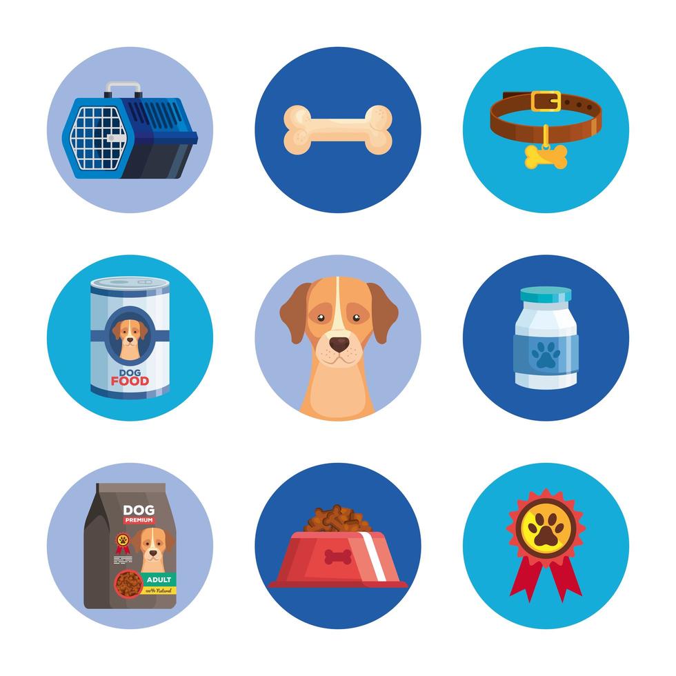 set of icons of dog animal vector