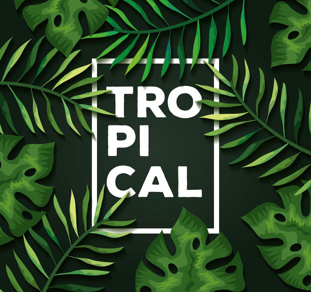 background of leaves tropical natural vector
