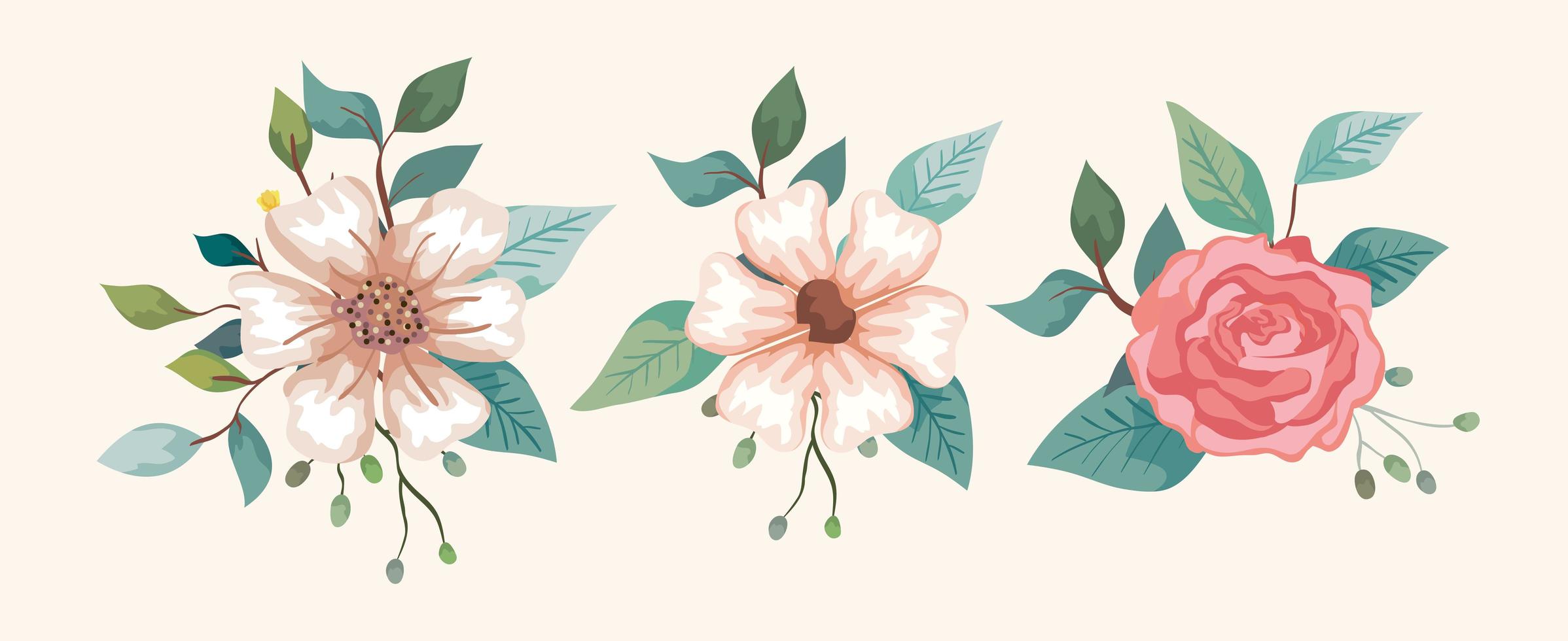 set of flowers with branches and leaves vector