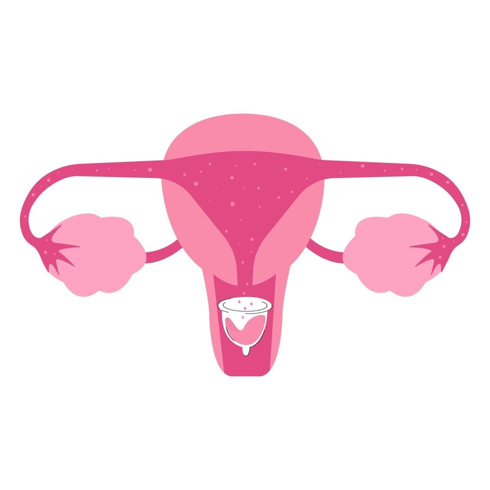 Flat illustration of menstrual cup usage vector