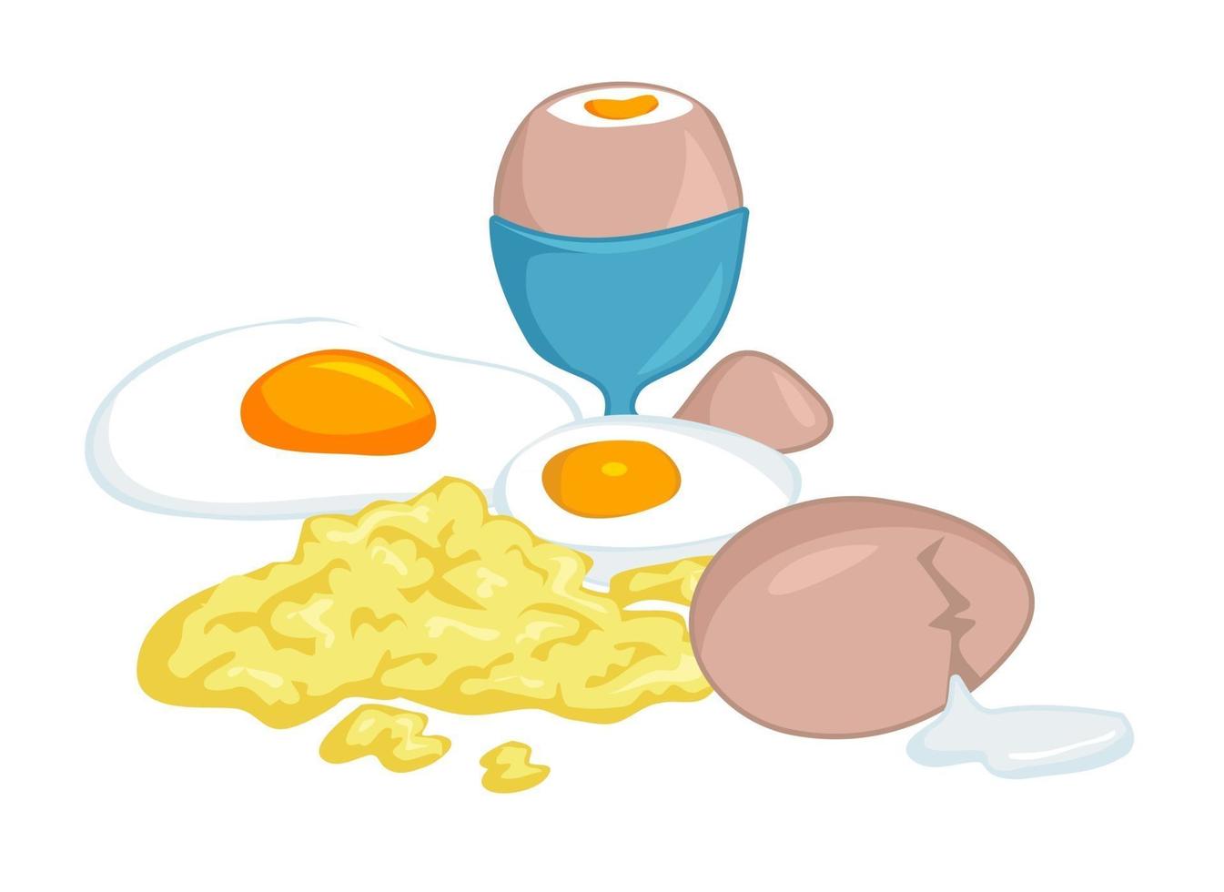 Egg Recipe Collection vector