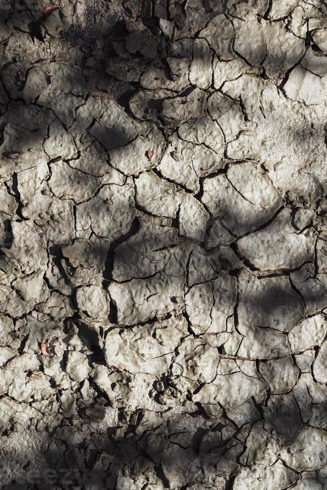 Fondo de textura de suelo seco del desierto foto