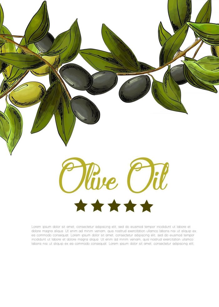 Vector background with border of black and green olives